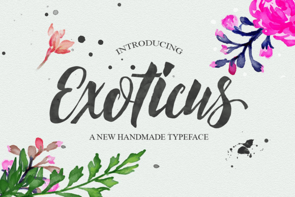 Exoticus: A Stylish Font for Building a Consistent and Memorable Brand