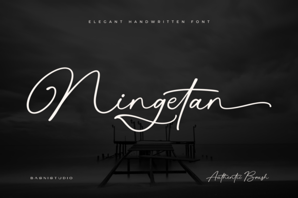 Ningetan: The Handwritten Font That Makes Your Business Look Polished
